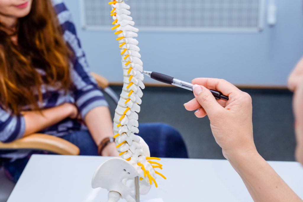 Closeup medical doctor woman pointing on spine model and explaining female patient her problem